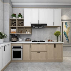 Kabinett tal-Aluminju tal-Finitura tal-Injam